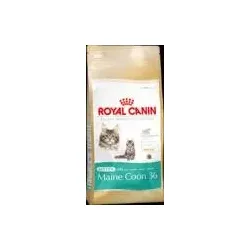 Royal Canin Kitten Main Coon 36 10 Kg