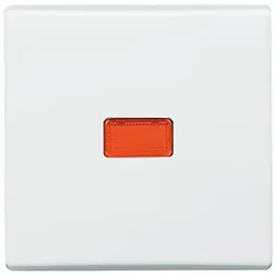 Busch-Jaeger Wippe aws Kontroll-Wechsel 2107-34