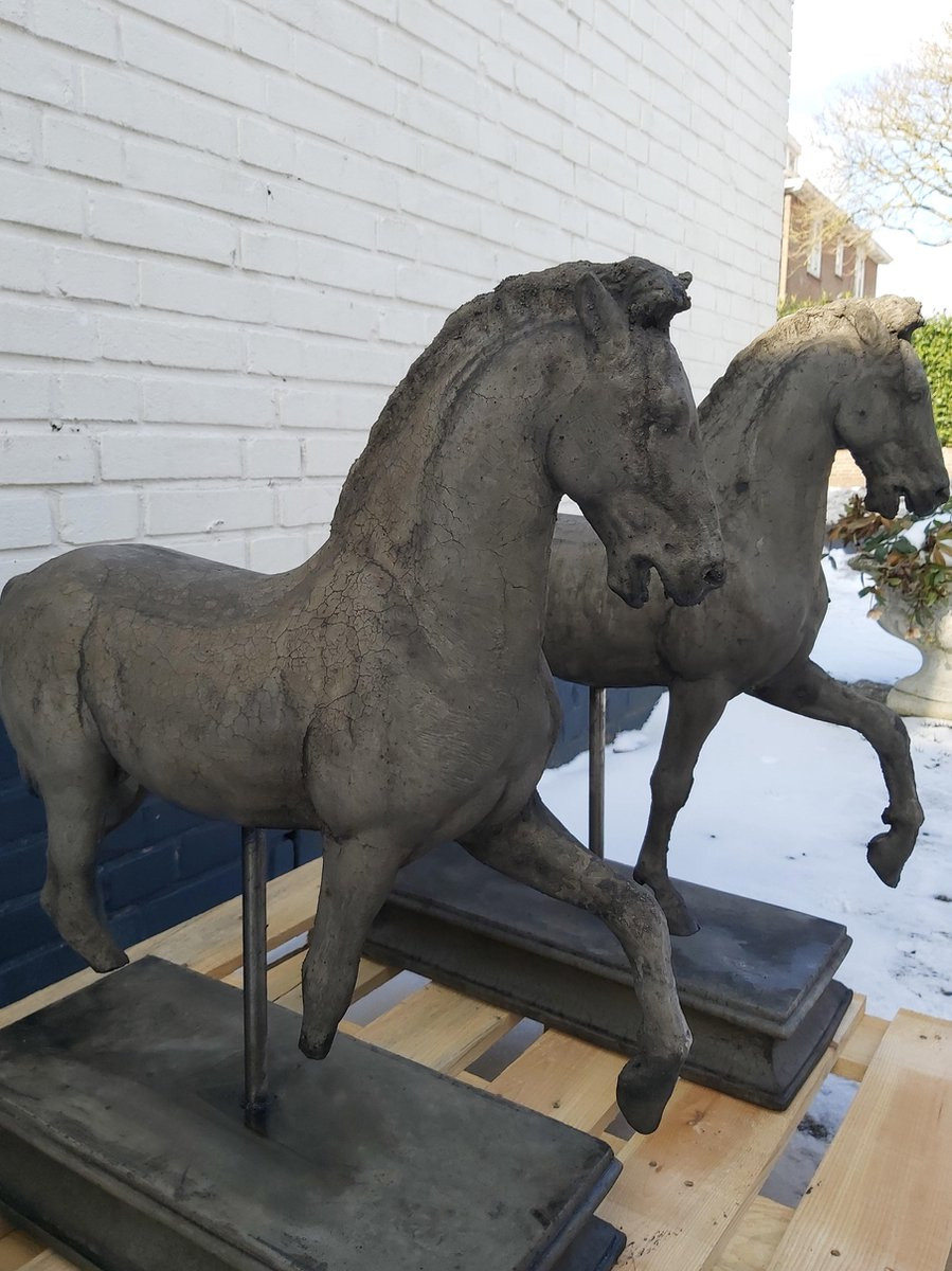 Zimba Arts Decoratief Betonnen Paard op Sokkel - Grijs - 55 x 20 cm