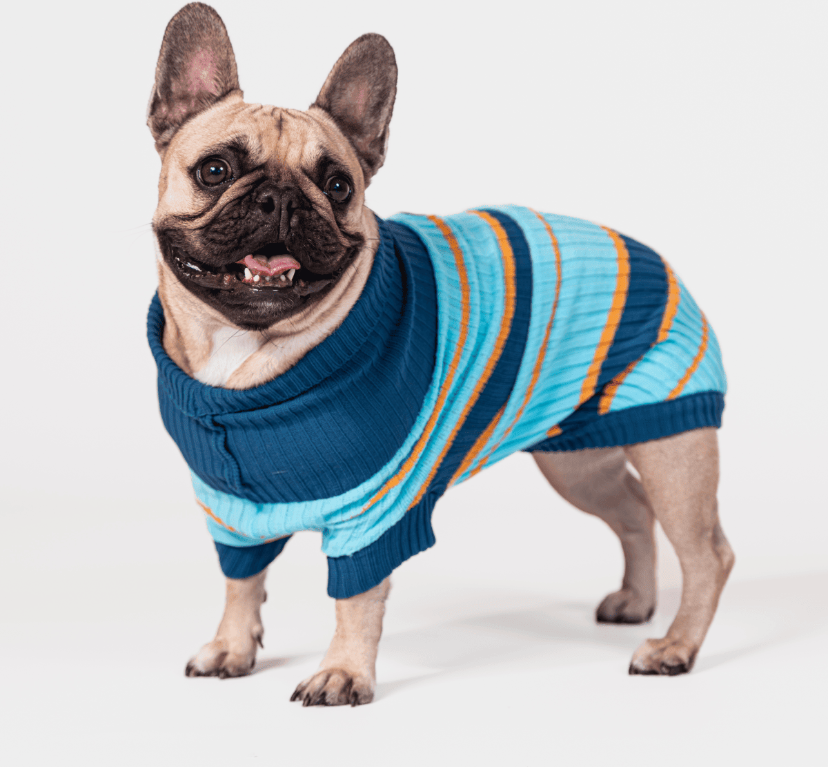 AniOne Dog Maglione Little&Trendy Lou 24CM