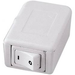 interBär Endschalter Weiß 1 x Aus/Ein 10 A 1 St. 8016-001.01