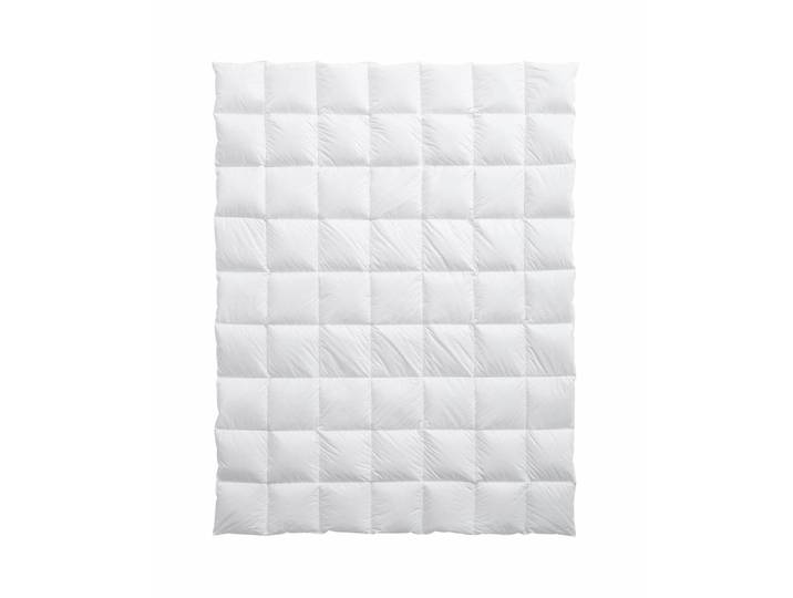 feelings by billerbeck Lara Light 160x210cm Daunenduvet