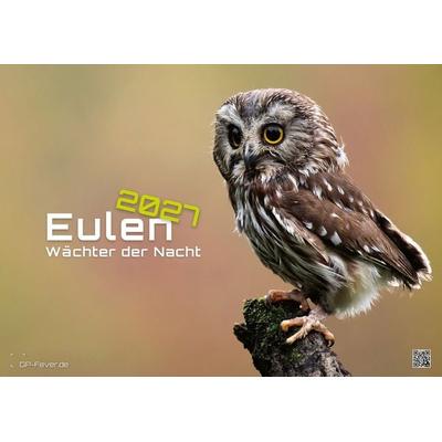 Eulen - Wächter der Nacht - 2027 - Kalender DIN A2