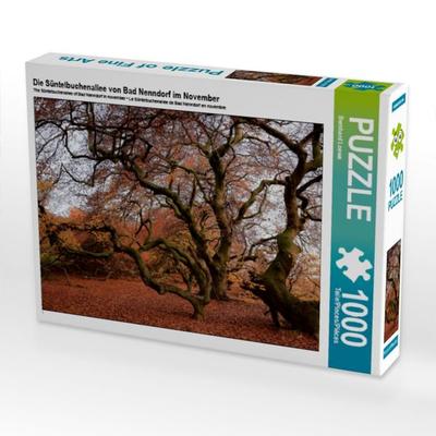CALVENDO Puzzle Die Süntelbuchenallee von Bad Nenndorf im November | 1000 Teile Lege-Größe 64x48cm Foto-Puzzle für glückliche Stunden