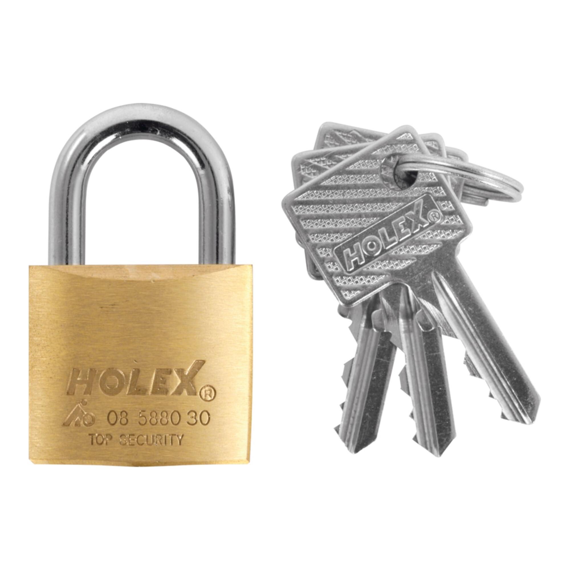 HOLEX Zylinderschloss verschiedenschließend Messing Ø30mm aus Messing verchromt mit zwei Schlüsseln und Bügel Ø4,5mm für Sicherheit, 085880 30)