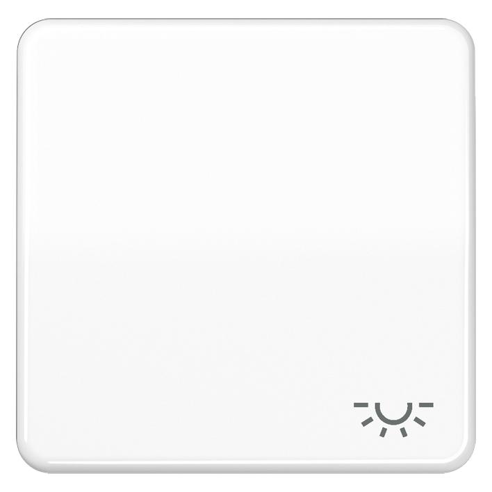 JUNG Wippe Schalter CD aws glz Licht CD590BFLWW (CD590BFLWW)