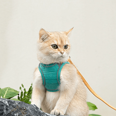 PetsAreLife Glow in the Dark Luminous Adjustable Cat Vest Harness & Leash Set: Keep Your Furry Friend Around Green S