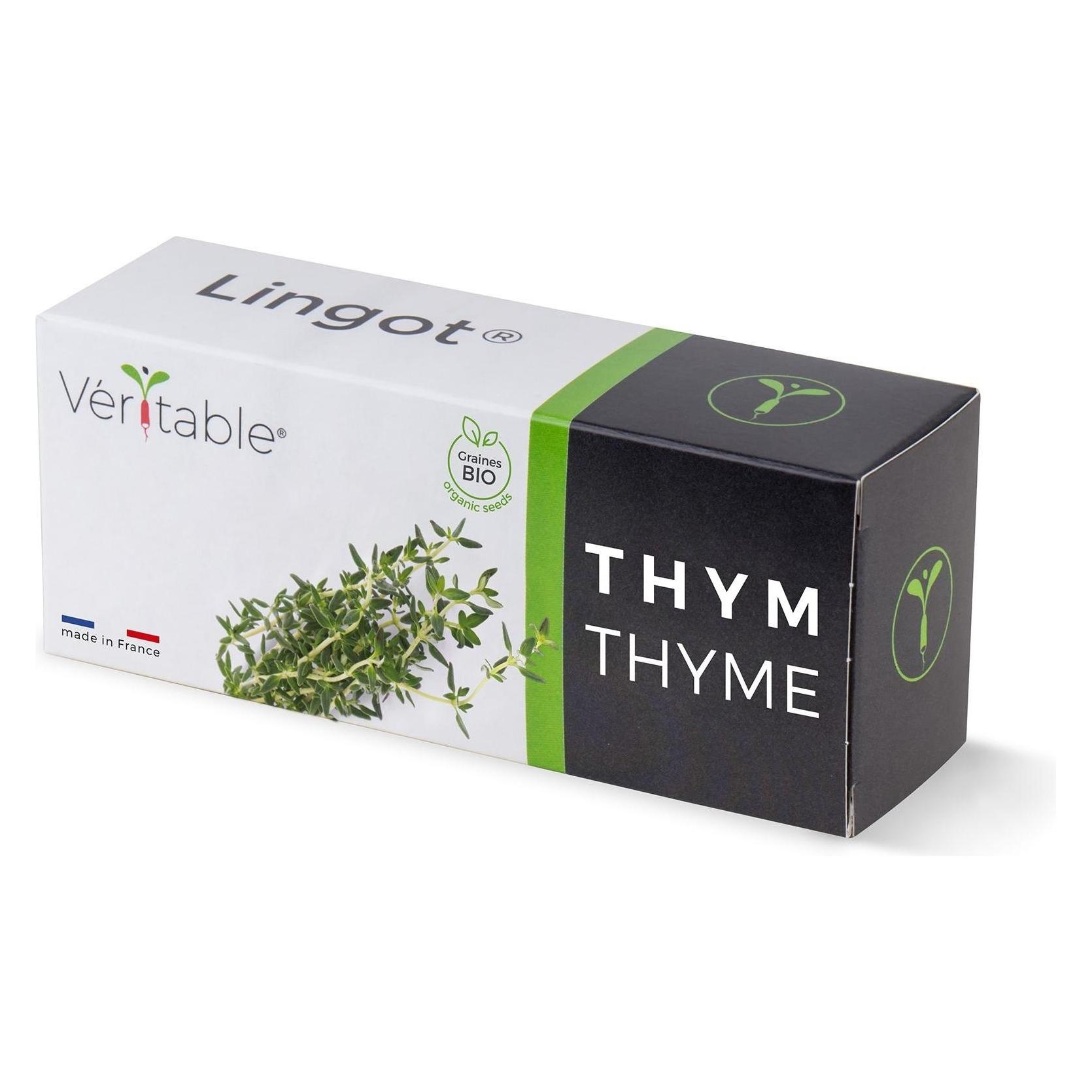 Véritable Lingot Thyme - Organic (Kräutersamen) (3760262511054)