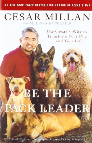 Cesar Millan - Be the Pack Leader: Use Cesar's Way to Transform Your Dog . . . and Your Life - Preis vom 14.10.2026 23:07:16 h