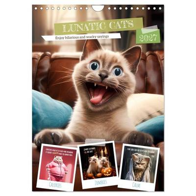 LUNATIC CATS Enjoy hilarious and wacky sayings (Wall Calendar 2027 DIN A4 portrait), CALVENDO 12 Month Wall Calendar