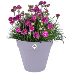 Elho, Blumentopf, Loft Urban Rund (29 x 26 cm)
