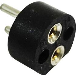BELI-BECO 254 Lampenfassung Sockel (Miniaturlampen): Bi-Pin 4 mm Anschluss (Sockel): Lötstift 1 St.