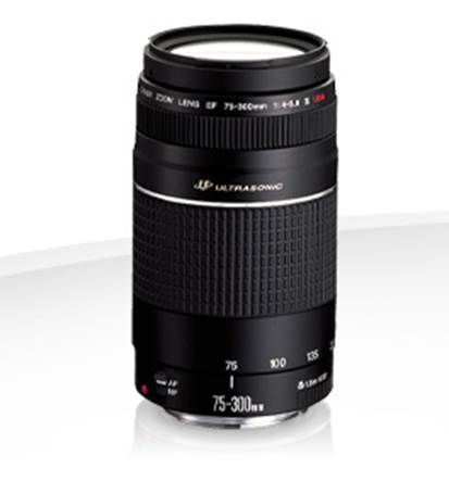 Canon EF 75-300mm f/4.0-5.6 III USM, Teleobjektiv, 13/9, 75 - 300 mm, Canon EF