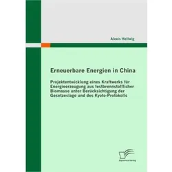 Erneuerbare Energien in China, Fachbücher von Alexis Hellwig