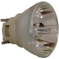 Philips Beamerlampe für OPTOMA SP.7AF01GC01 BL-FU240B, Beamerlampe