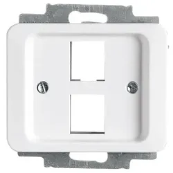Busch-Jaeger Zentralscheibe stws gl 2561-02-24G