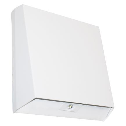 H1 Solutions Sicherheitsleuchte (2269)