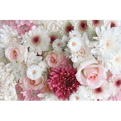 Fototapete PAPERMOON "ROSEN-GÄNZEBLÜMCHEN BLUME PFLANZE STRAUß MAKRO NATUR", bunt, B:3m L:2,23m, Vlies, Tapeten