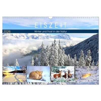 Eiszeit. Winter und Frost in der Natur (Wandkalender 2026 DIN A3 quer), CALVENDO Monatskalender
