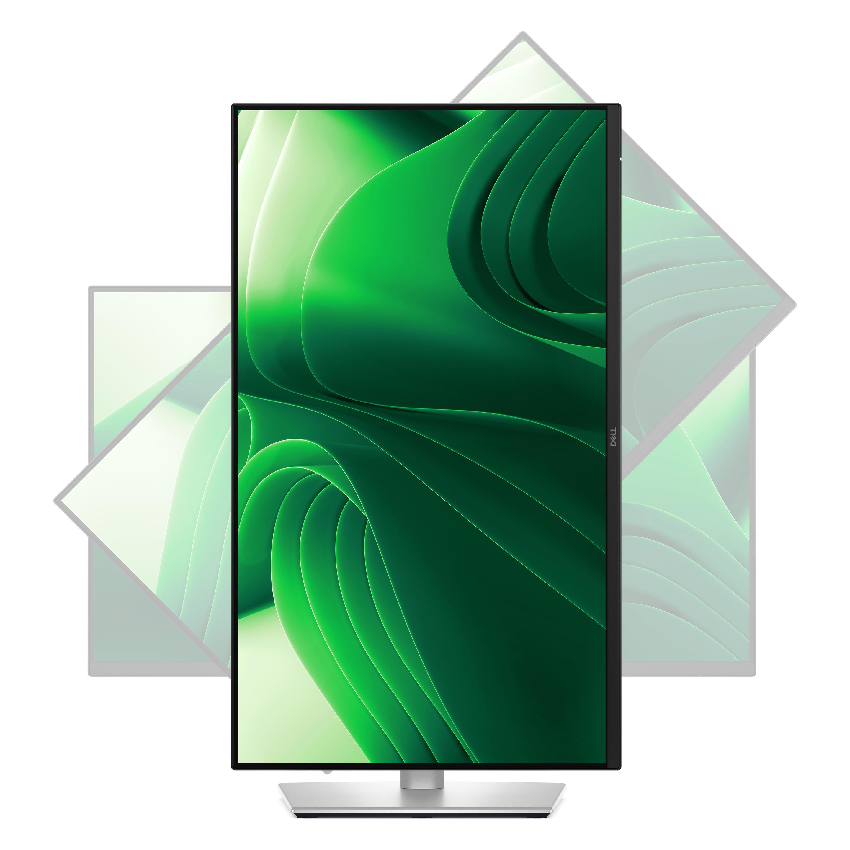 Dell Pro 24 Plus P2425DE (2560 x 1440 Pixel, 23.80") (DELL-P2425DE)