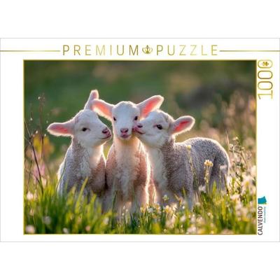 CALVENDO Puzzle Frühlingszauber mit Lämmern | 1000 Teile Lege-Größe 64 × 48 cm Foto-Puzzle für glückliche Stunden, von , Calvendo Puzzle