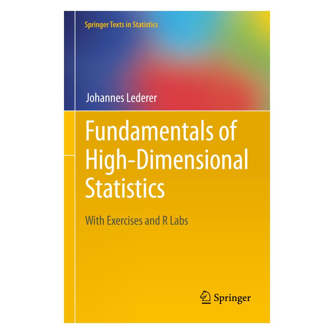 Springer Fundamentals of High-Dimensional Statistics (Englisch, Softcover, Johannes Lederer) (56906298)