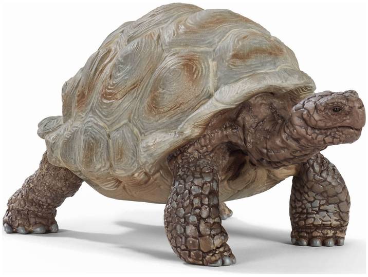 schleich Wild Life 14824 Riesenschildkröte