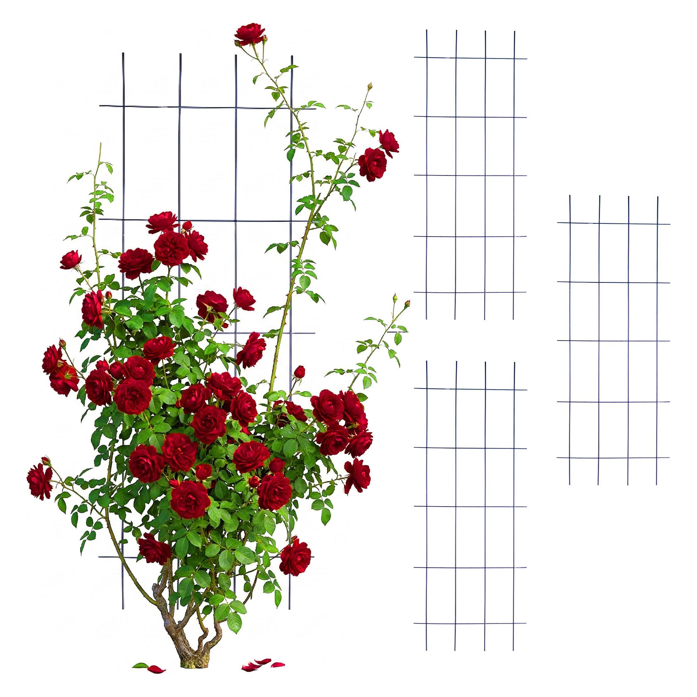 Relaxdays Rankgitter-Set (0.50 cm, 45 cm) (4052025832155)
