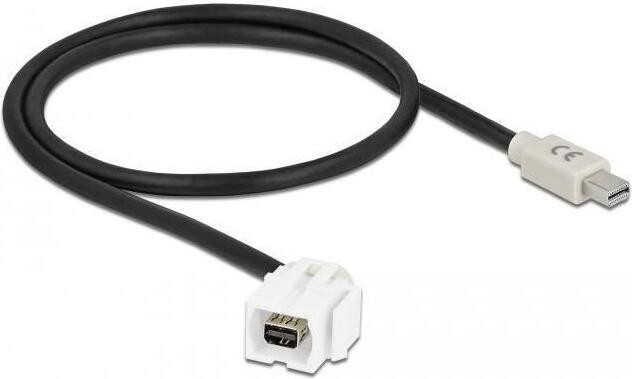 Delock Keystone module mini DisplayPort-connector naar mini DisplayPort-stekker met kabel, wit