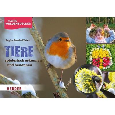 Kleine Waldentdecker: Tiere, Taschenbuch von Regina Bestle-Körfer, Herder, 978-3-451-38985-6