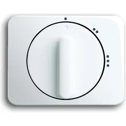 Busch-Jaeger Zentralscheibe stws gl 2542 DR/02-24G 2CKA001710A3428