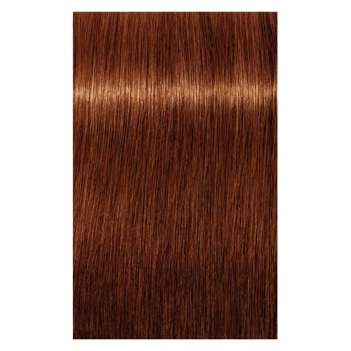 Indola PCC 644 Haarfarbe 60ml 23 (6,44 Kupferrot) (38772094)