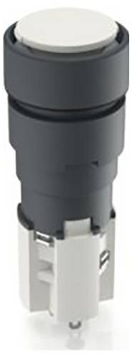RAFI 1.15.108.977/0000 Drucktaster (L x B) 19mm x 19mm 1St.