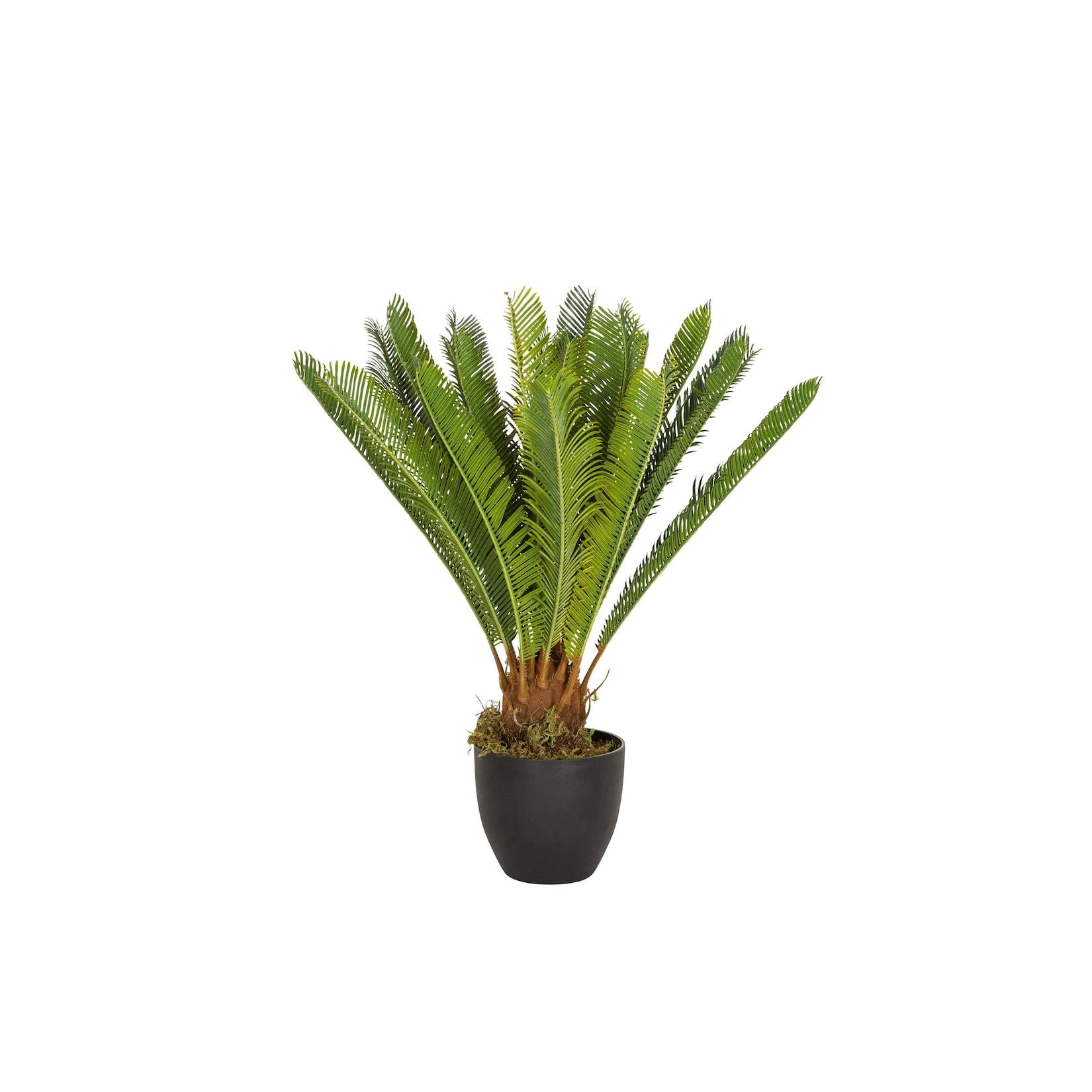 hjh OFFICE Kunstpflanze CYCAS Kunststoff, Stoff