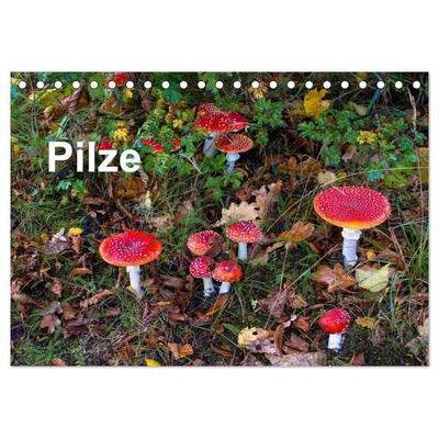 Pilze (Tischkalender 2027 DIN A5 quer), CALVENDO Monatskalender