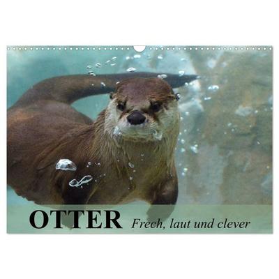 Otter. Frech, laut und clever (Wandkalender 2027 DIN A3 quer), CALVENDO Monatskalender