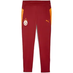PUMA Galatasaray Istanbul Trainingshose 2025/26 Herren 01 - red rhythm M