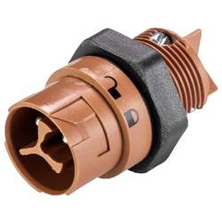 Wieland Electric 46.032.5050.4 Geräteanschluss