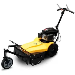 BAMATO Mulchmäher GM-200 mit LONCIN Motor