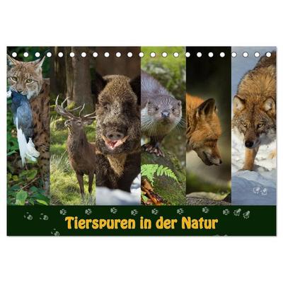 Tierspuren in der Natur (Tischkalender 2026 DIN A5 quer), CALVENDO Monatskalender