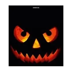 Scheurich Türfolie Pumpkin in the dark, für Innen- Außentüren