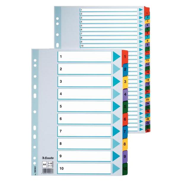 Esselte Register Mylar A4 1-20 Multi C (100163)