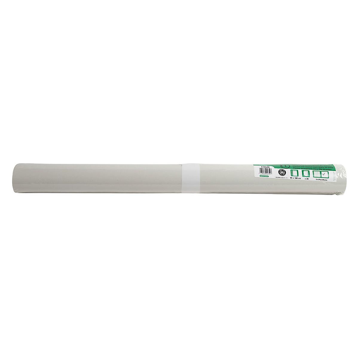 Exacompta Flipchart Papier, B 650 x H 1000 mm, kariert oder blanko, Blauer Engel, Recyclingpapier... (41654E WEISS)
