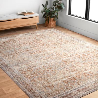 Alexander Home Austen Antique Washed Inspired Area Rug