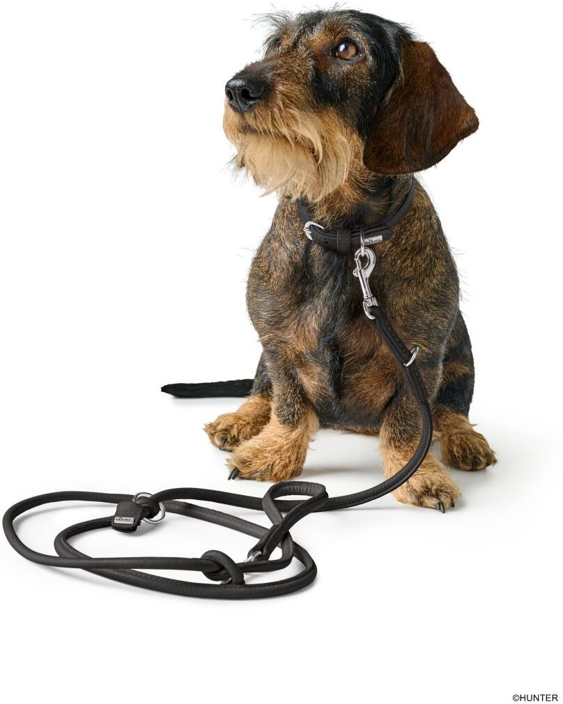 DOG SPORT HUNTER Halsband Soho Mini XXS (21), schwarz