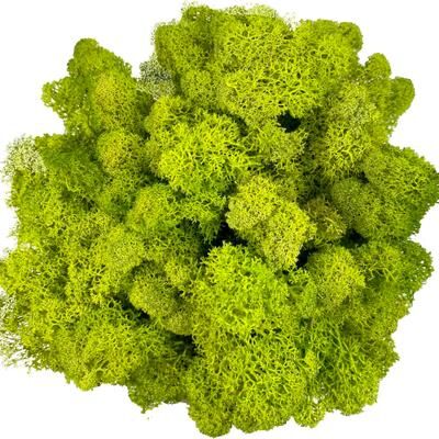 Inspire Select Artificial Reindeer Moss Decor Faux Green Moss For Crafts, Potted Plants & Wall Art yellow Green 2.8 Oz