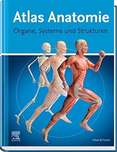 Atlas Anatomie für Laien - Preis vom 05.10.2026 03:47:11 h