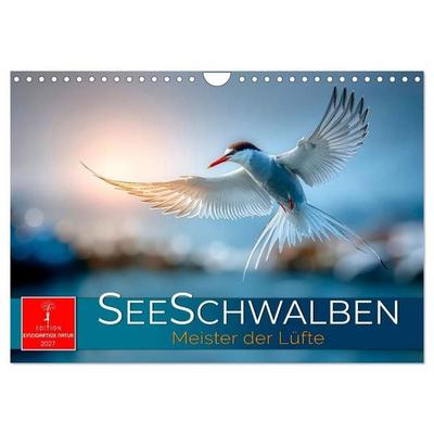 Seeschwalben - Meister der Lüfte (Wandkalender 2027 DIN A4 quer), CALVENDO Monatskalender