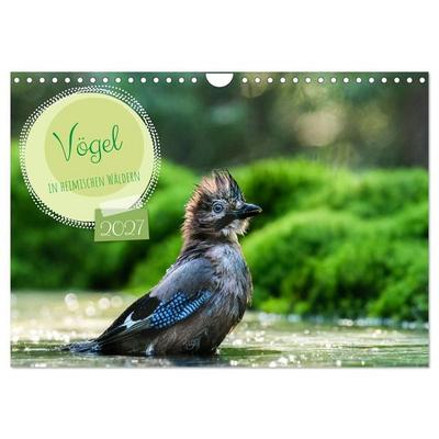 Vögel in heimischen Wäldern (Wandkalender 2027 DIN A4 quer), CALVENDO Monatskalender