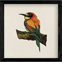 POSTER Platz Vogelzeichnungen Ruhe 20X20cm Rahmenlos